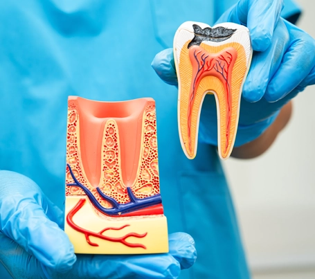 Tooth pain Doctor in Rajarhat